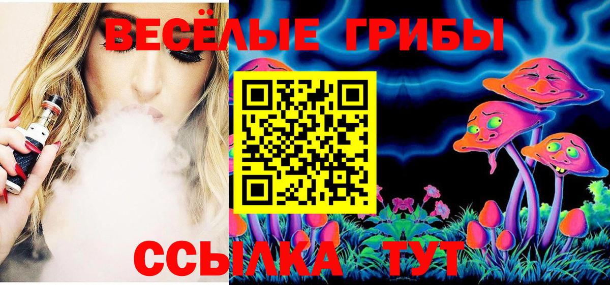 Кемерово  Псилоцибиновые грибы Psilocybine cubensis  Вход с VPN 